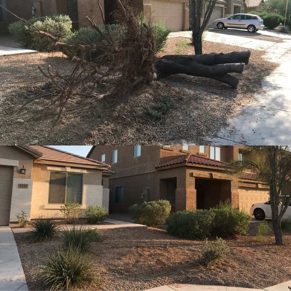 Local yard cleanup service in Gilbert, AZ - Higher Ground Landscaping