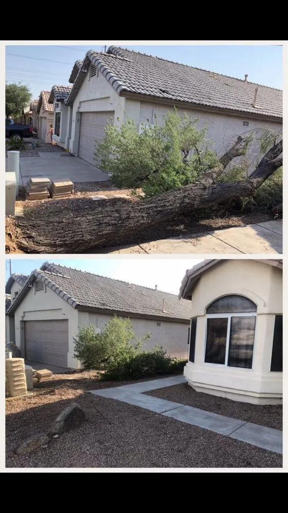 Affordable landscaping services in Gilbert, AZ by Higher Ground Landscaping