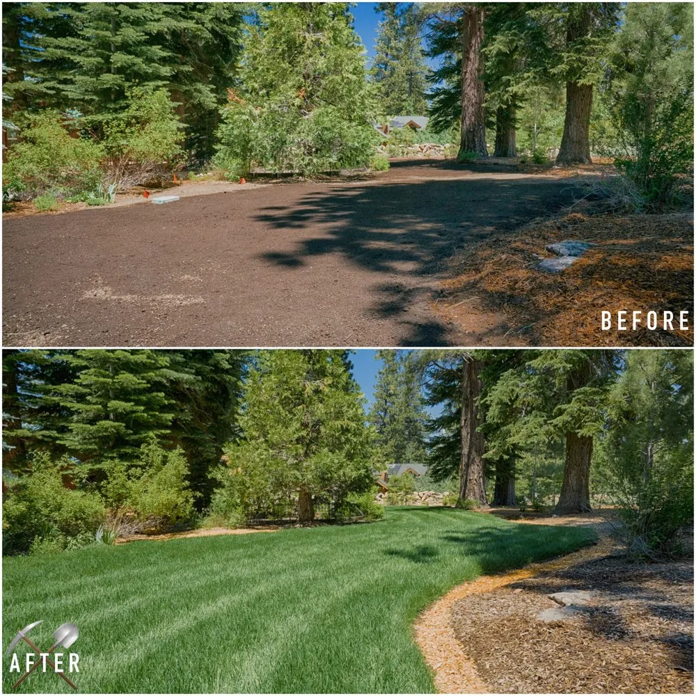 Top-rated garden landscaping in Truckee, CA - Higher Ground Landscaping