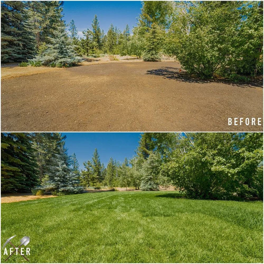 Custom outdoor landscaping for year-round maintenance in Truckee, CA by Higher Ground Landscaping