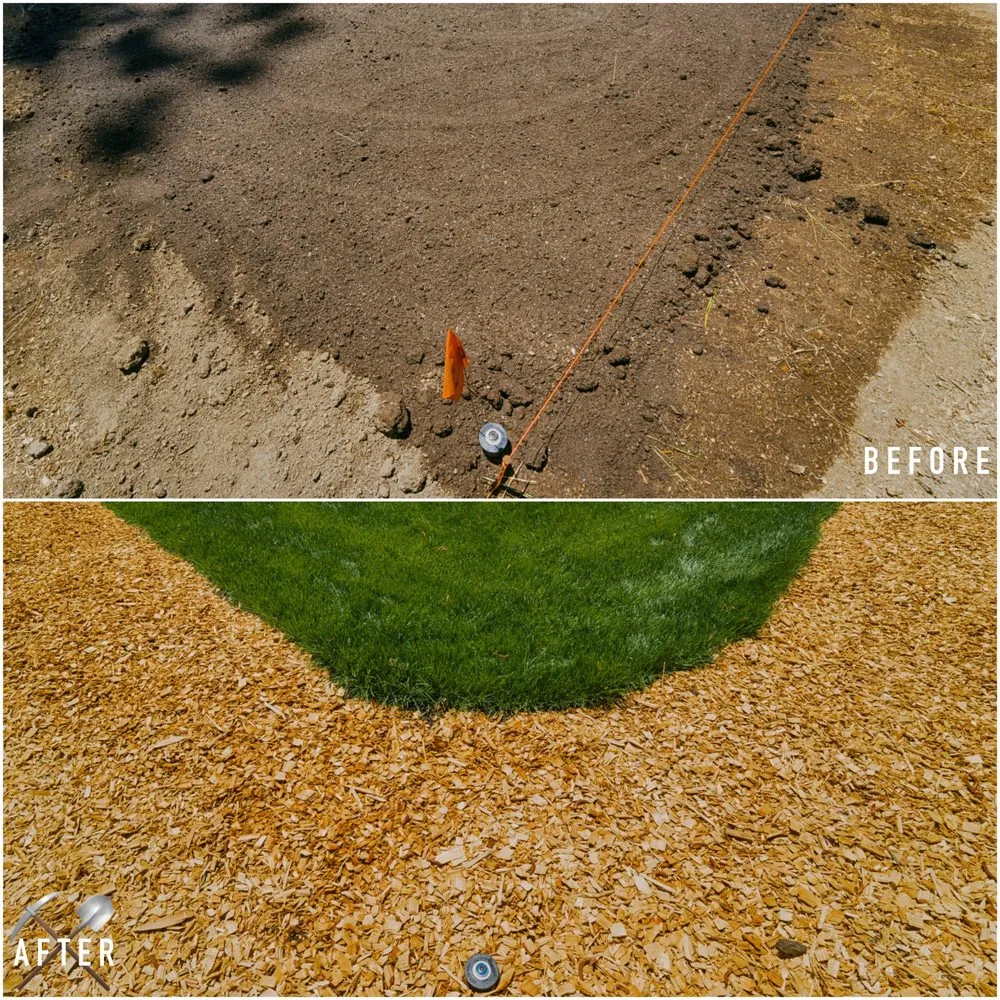 Affordable yard maintenance for homes in Truckee, CA by Higher Ground Landscaping