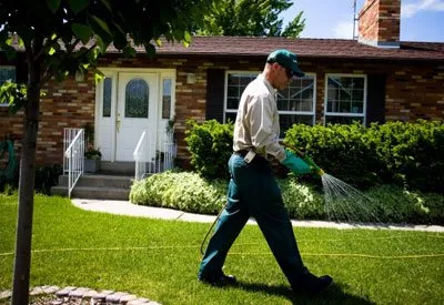 Expert outdoor landscaping in Dallas, TX by Higher Ground Lawn Care & Lighting