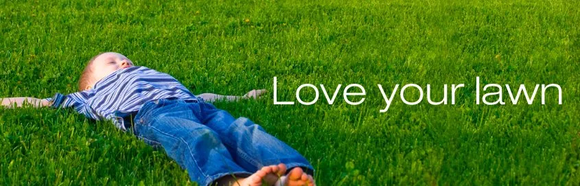 Reliable garden landscaping experts serving Dallas, TX - Higher Ground Lawn Care & Lighting