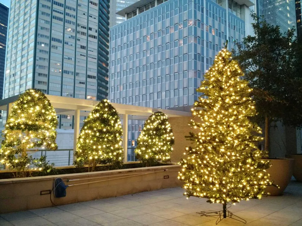 Professional lawn mowing service for homes in Dallas, TX by Higher Ground Lawn Care & Lighting