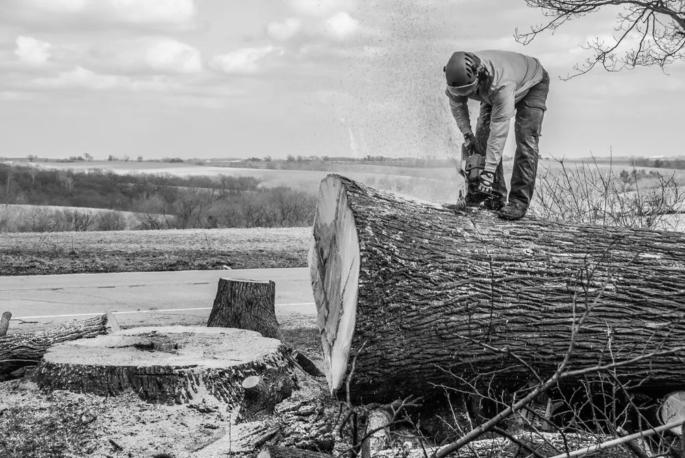 Trusted residential landscaping near you in Madison, WI by Higher Ground