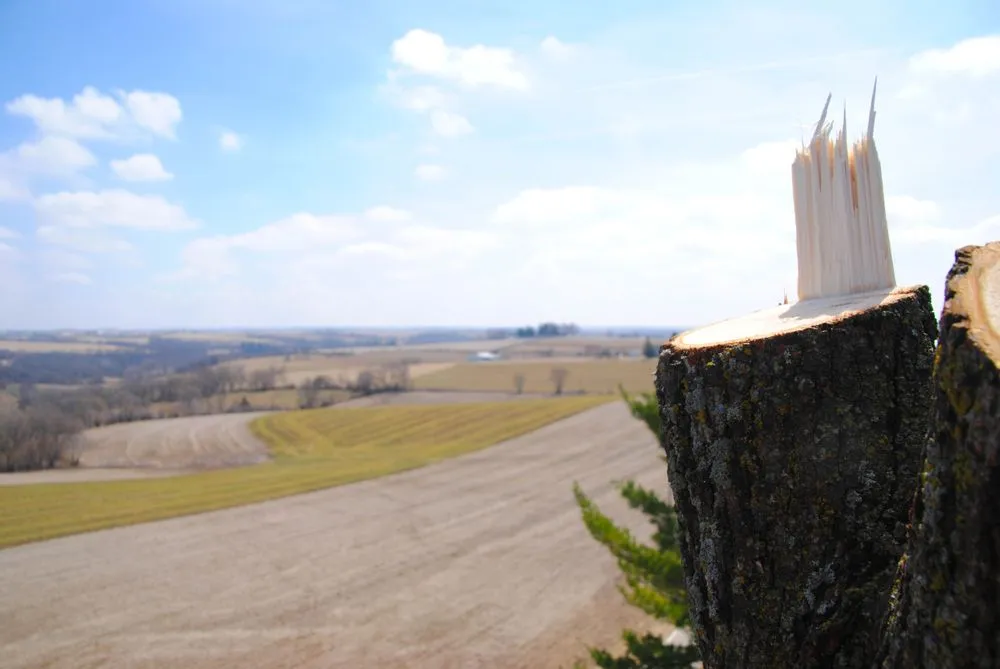 Expert yard maintenance for outdoor upgrades in Madison, WI by Higher Ground