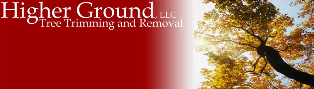 Reliable landscape installation for beautiful yards in Madison, WI by Higher Ground