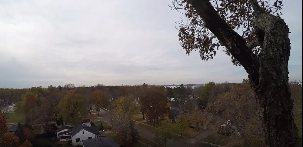 Trusted landscape installation in Madison, WI by Higher Ground