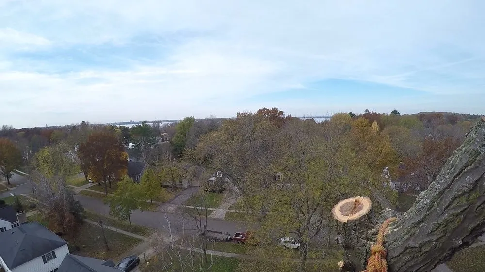 Reliable garden landscaping experts serving Madison, WI - Higher Ground