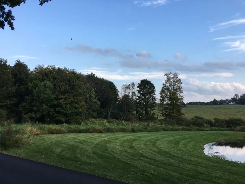 Trusted yard cleanup service for outdoor upgrades in Hudson, NY by Higher Ground Property Management