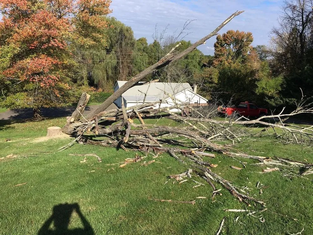 Custom residential landscaping experts serving Hudson, NY - Higher Ground Property Management