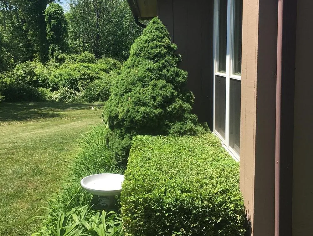 Custom outdoor landscaping in Hudson, NY by Higher Ground Property Management