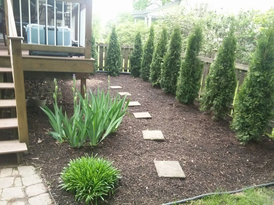 Affordable yard maintenance in Cincinnati, OH by Higher Standard Landscaping