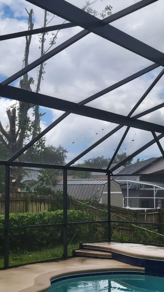 Professional yard maintenance for homes across Port Orange, FL - Higher Standards Tree Care