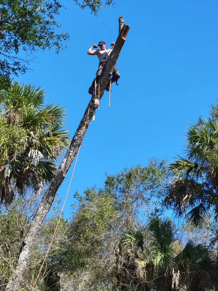 Trusted lawn care service in Port Orange, FL - Higher Standards Tree Care