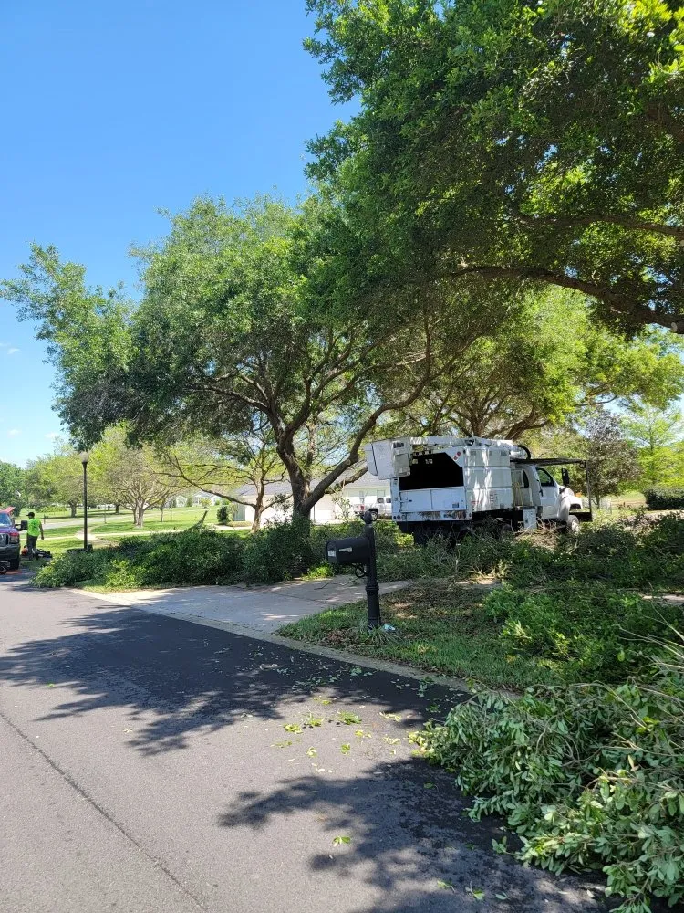 Local yard maintenance for homes across Port Orange, FL - Higher Standards Tree Care