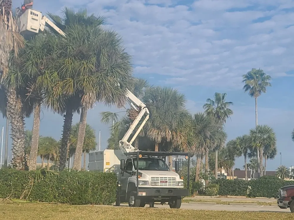 Professional outdoor landscaping in Port Orange, FL - Higher Standards Tree Care