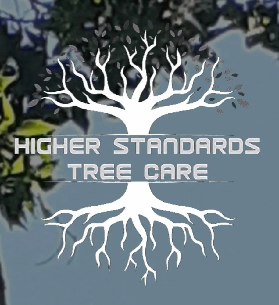 Expert yard cleanup service for year-round maintenance across Port Orange, FL - Higher Standards Tree Care