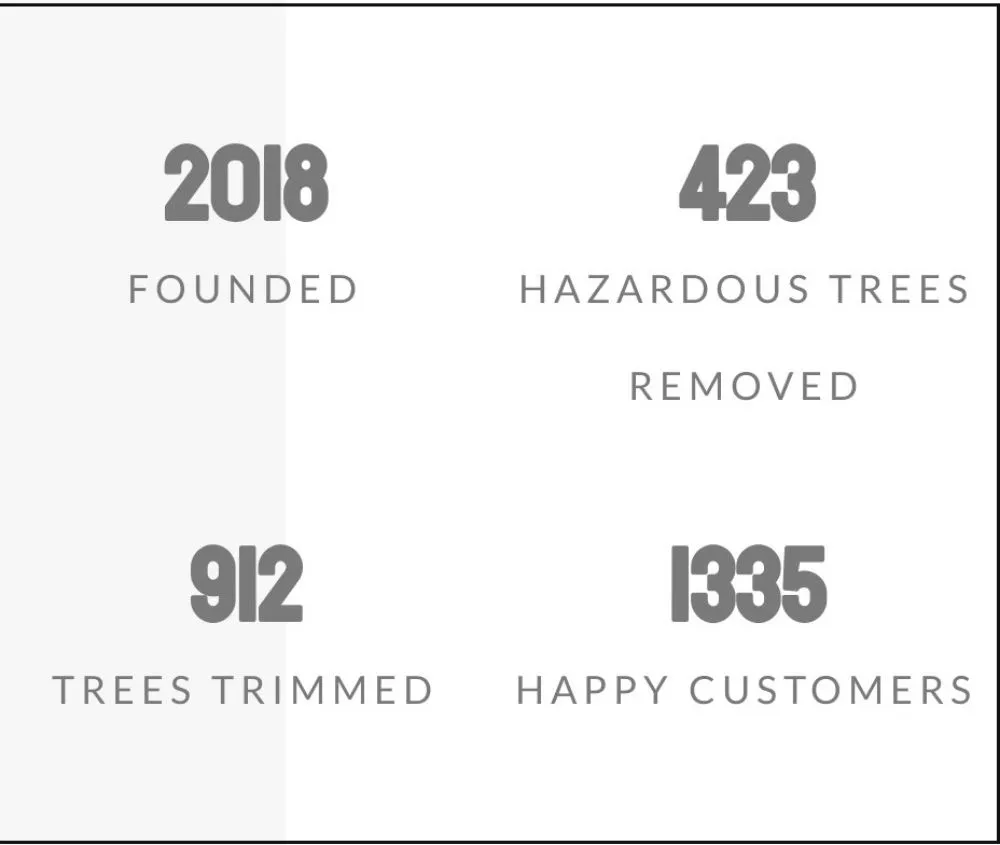 Local lawn care service in Port Orange, FL by Higher Standards Tree Care