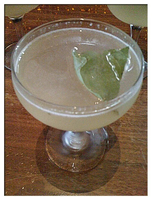 Affordable outdoor landscaping experts serving Port Orange, FL - Higher Standards Tree Care