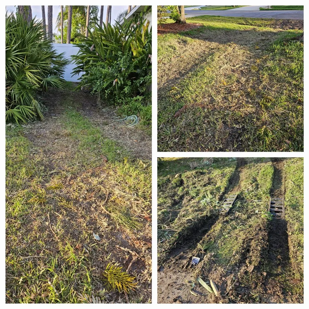 Affordable lawn mowing service for outdoor upgrades in Port Orange, FL by Higher Standards Tree Care