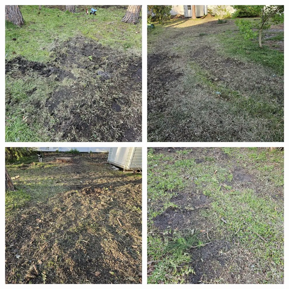 Professional outdoor landscaping for residential properties across Port Orange, FL - Higher Standards Tree Care