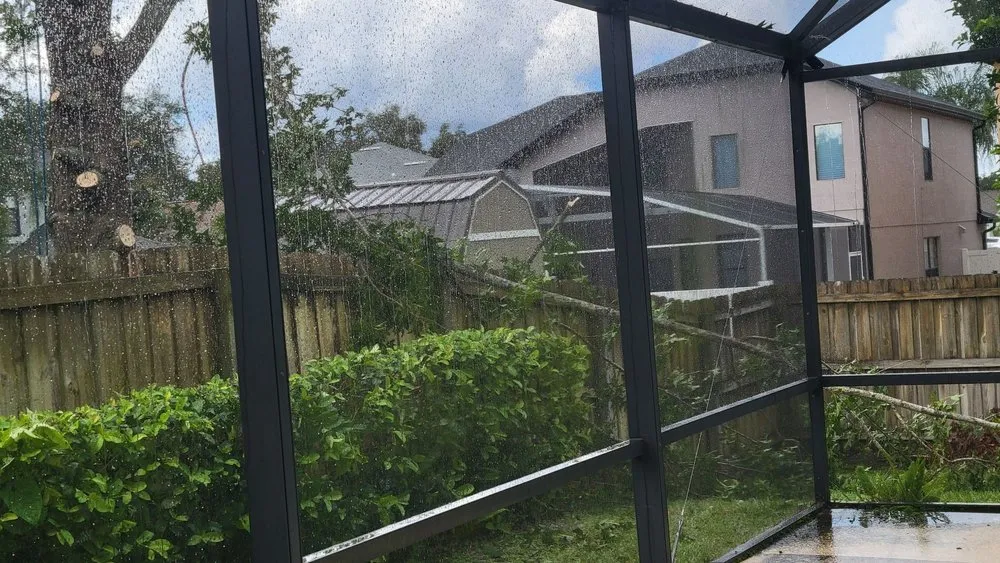 Top-rated yard maintenance in Port Orange, FL - Higher Standards Tree Care