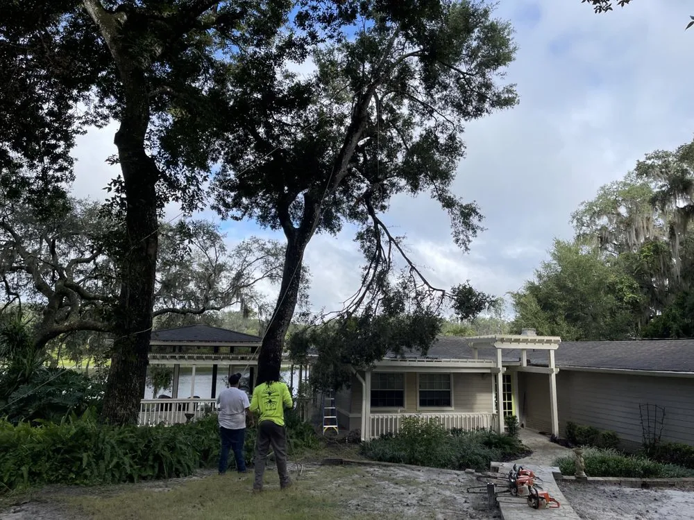 Expert lawn care service for outdoor upgrades in Port Orange, FL by Higher Standards Tree Care