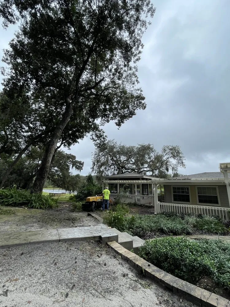 Reliable lawn mowing service for beautiful yards in Port Orange, FL by Higher Standards Tree Care