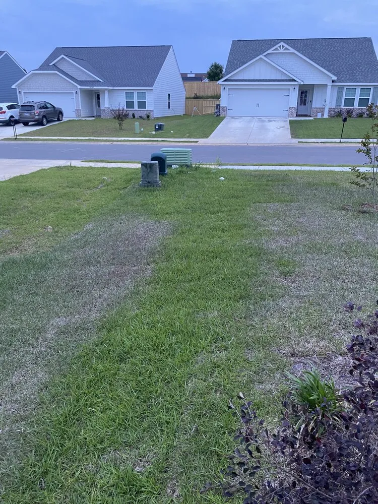 Custom landscape design for beautiful yards in Gulfport, MS by Higher The Better Landscaping
