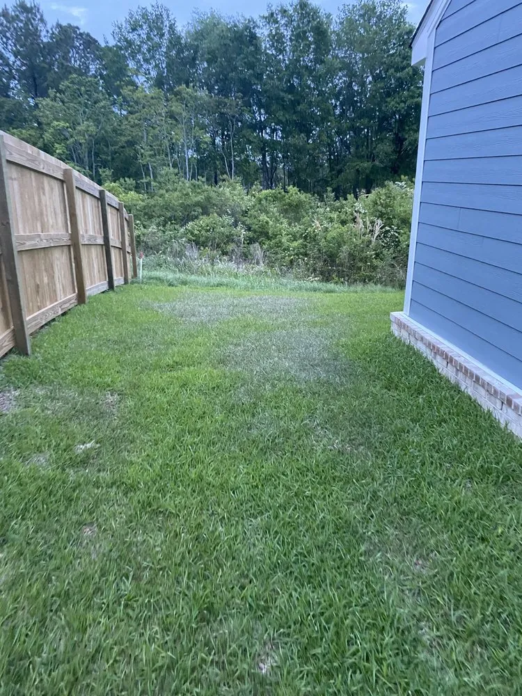 Professional landscaping services experts serving Gulfport, MS - Higher The Better Landscaping