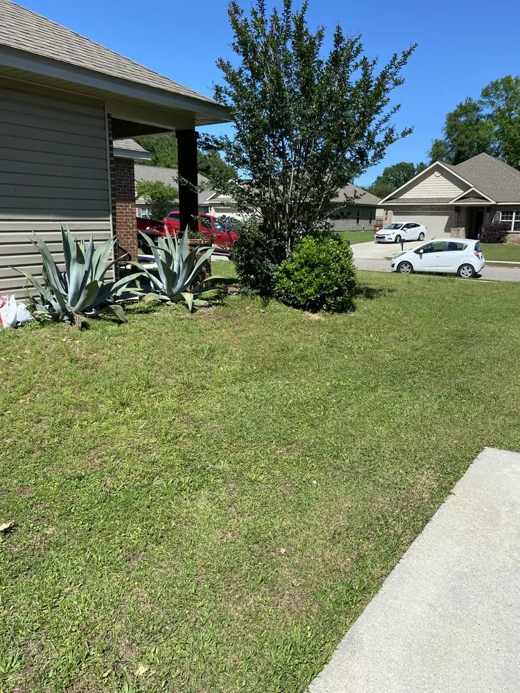 Affordable yard cleanup service for outdoor upgrades across Gulfport, MS - Higher The Better Landscaping