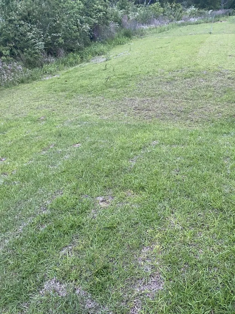 Affordable residential landscaping for beautiful yards across Gulfport, MS - Higher The Better Landscaping