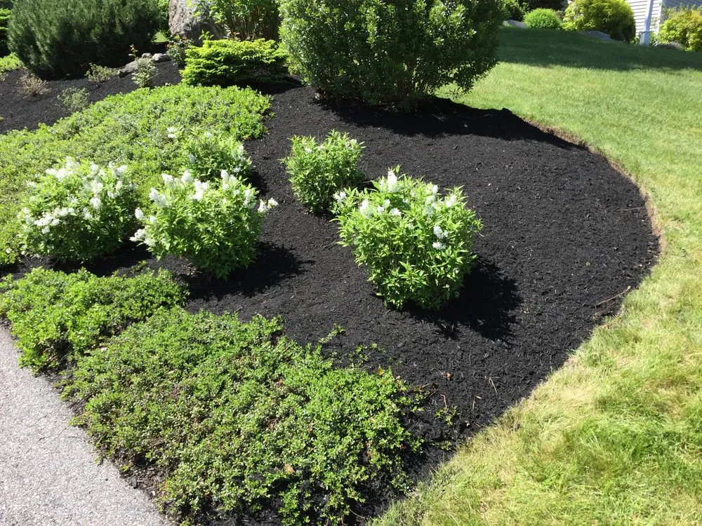 Reliable yard cleanup service for residential properties across Boxborough, MA - Highgarden Landscape