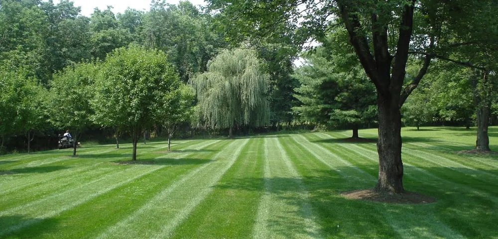 Expert garden landscaping with custom design across Boxborough, MA - Highgarden Landscape