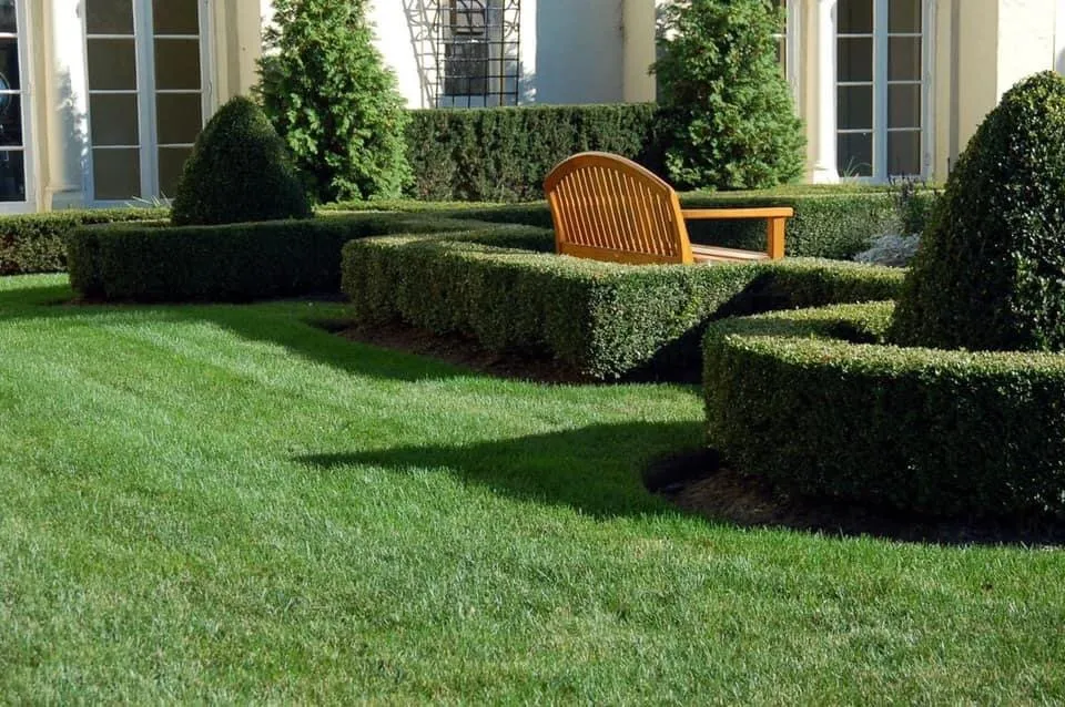Professional yard cleanup service in Boxborough, MA by Highgarden Landscape