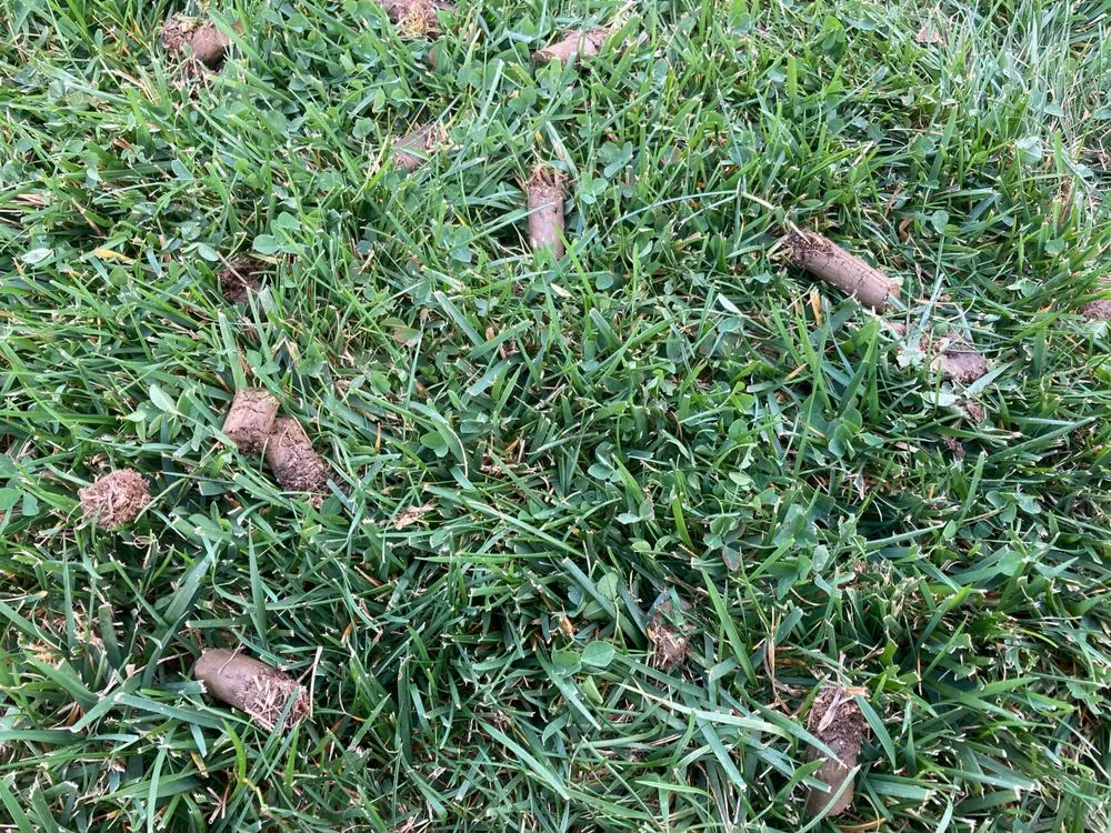 Expert yard maintenance for outdoor upgrades in Columbus, OH by HighGrass Lawn Care