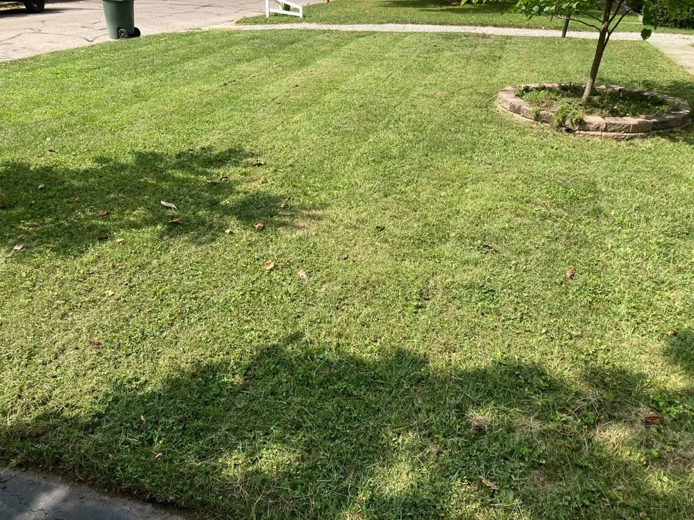 Professional yard cleanup service in Columbus, OH - HighGrass Lawn Care