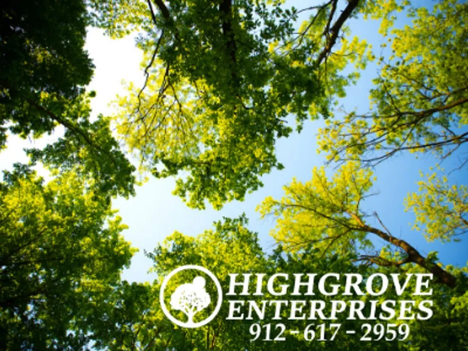 Top-rated landscape installation near you across Brunswick, GA - Highgrove Enterprises
