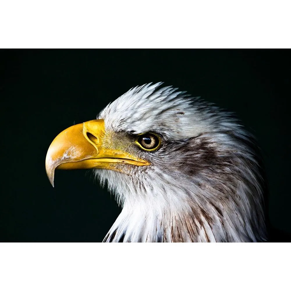 Expert lawn mowing service in Brunswick, GA by Highgrove Enterprises