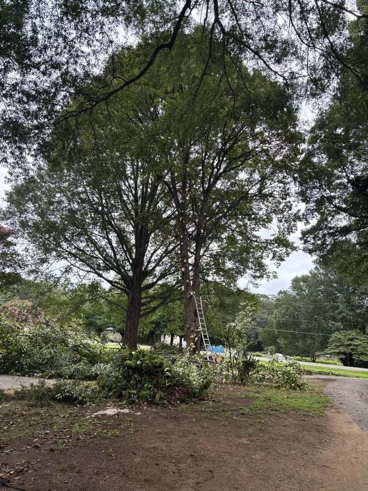 Custom garden landscaping for outdoor upgrades in Taylorsville, NC by Highland Construction & Landscape