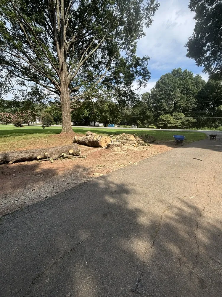 Trusted yard maintenance for residential properties in Taylorsville, NC by Highland Construction & Landscape