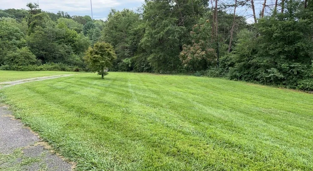 Top-rated landscape installation experts serving Taylorsville, NC - Highland Construction & Landscape