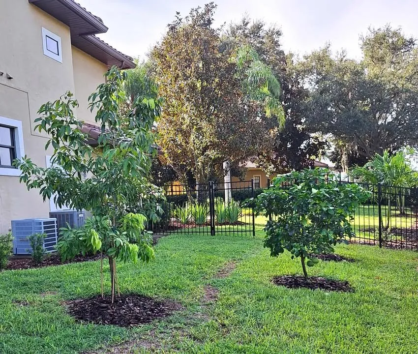 Local landscaping services experts serving Clermont, FL - Highland Grove Landscaping