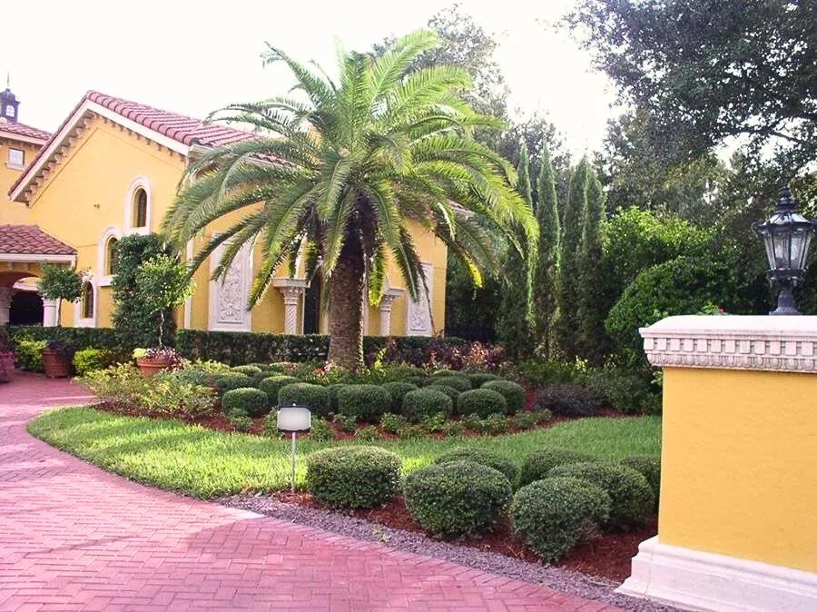 Affordable landscape design in Clermont, FL - Highland Grove Landscaping