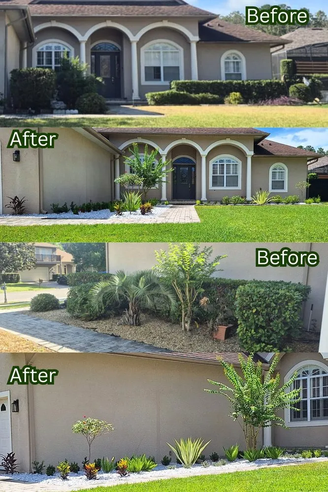 Custom yard maintenance experts serving Clermont, FL - Highland Grove Landscaping