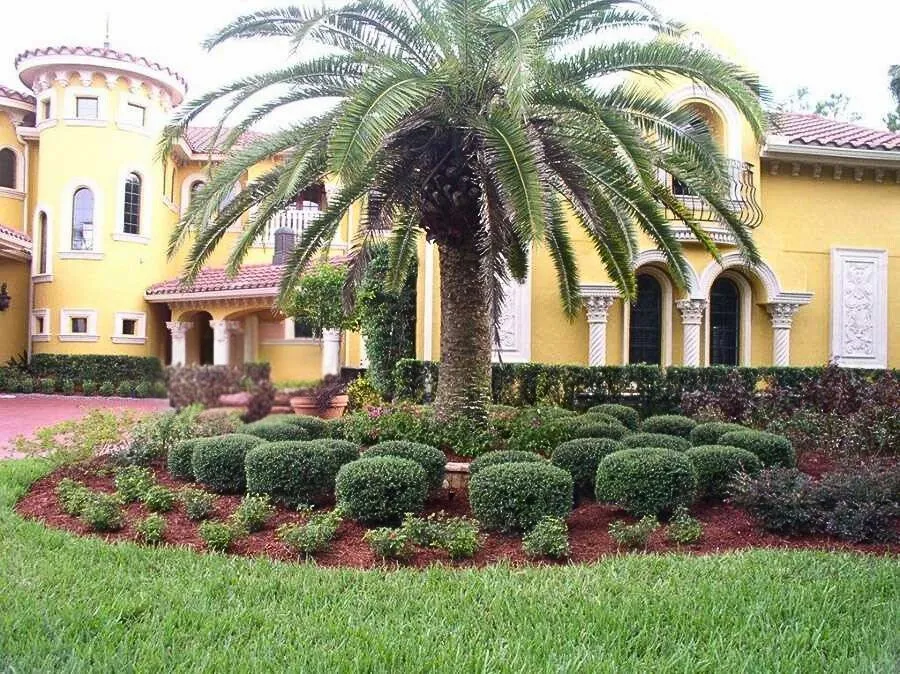 Custom landscape design with custom design in Clermont, FL by Highland Grove Landscaping
