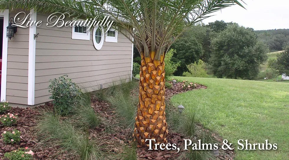 Local landscape installation for beautiful yards across Clermont, FL - Highland Grove Landscaping