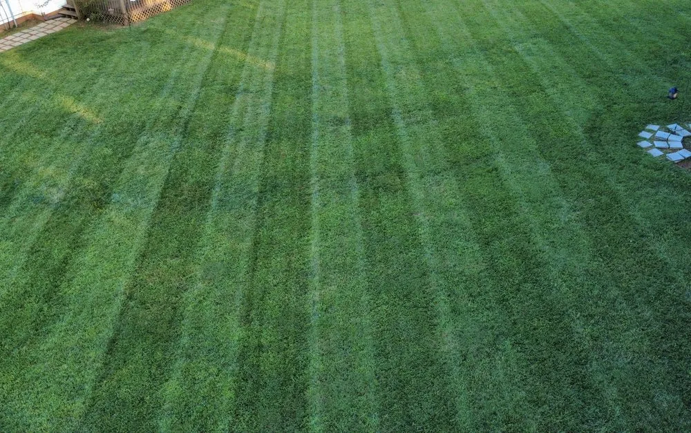 Local outdoor landscaping for residential properties across Advance, NC - Highland Hills Lawn Care