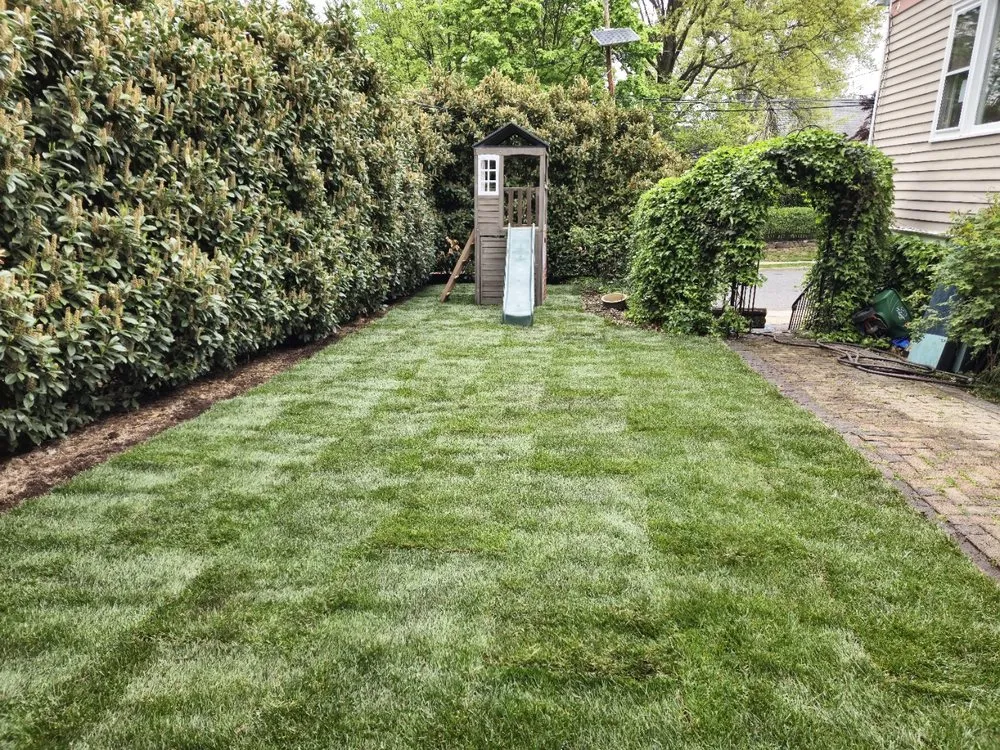 Local landscaping services in Wayne, NJ - Highland Hydro